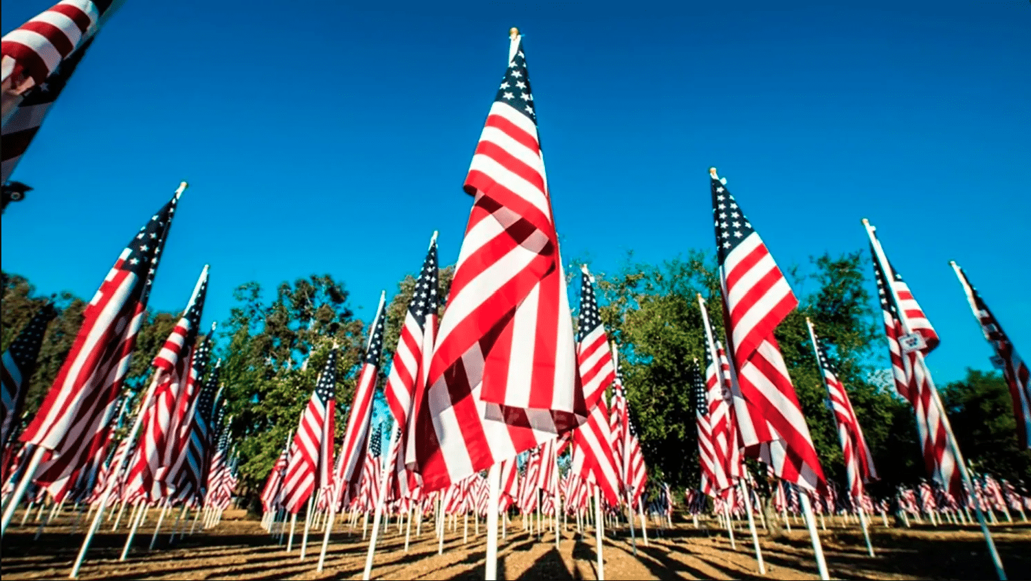 Honoring the Fallen